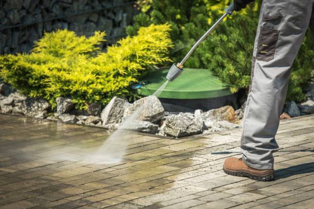 Best Roof Washing  in Bell Acres, PA