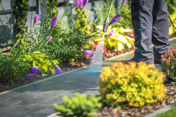 Best Patio and Deck Pressure Washing  in Bell Acres, PA