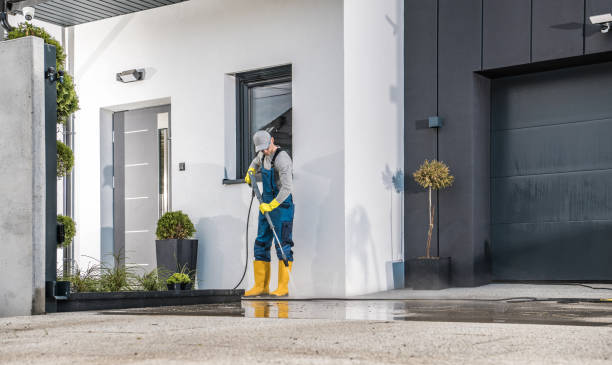 Best Solar Panel Cleaning  in Bell Acres, PA
